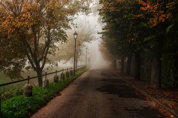 Jesienna aleja w parku odchodząca we mgle