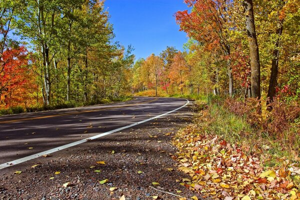 Autumn Road è disseminata di foglie