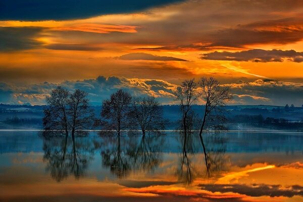 Schöner Sonnenuntergang Wald am See