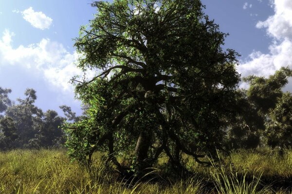 Ein alter, schicker Baum im Wald