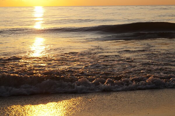 The gentle light turned the coastal sand into gold