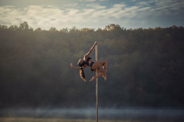 Gimnasta Chris Silva en el poste