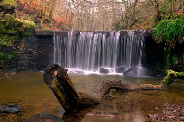 Kleiner Wasserfall im Herbstwald