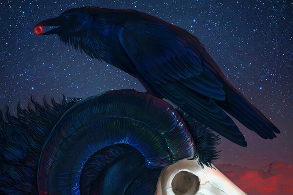 Raven on the background of the starry sky