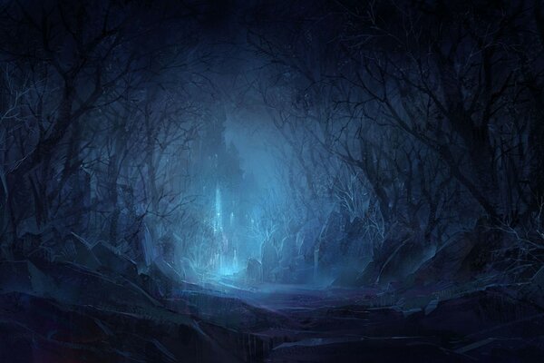 A path through the night forest