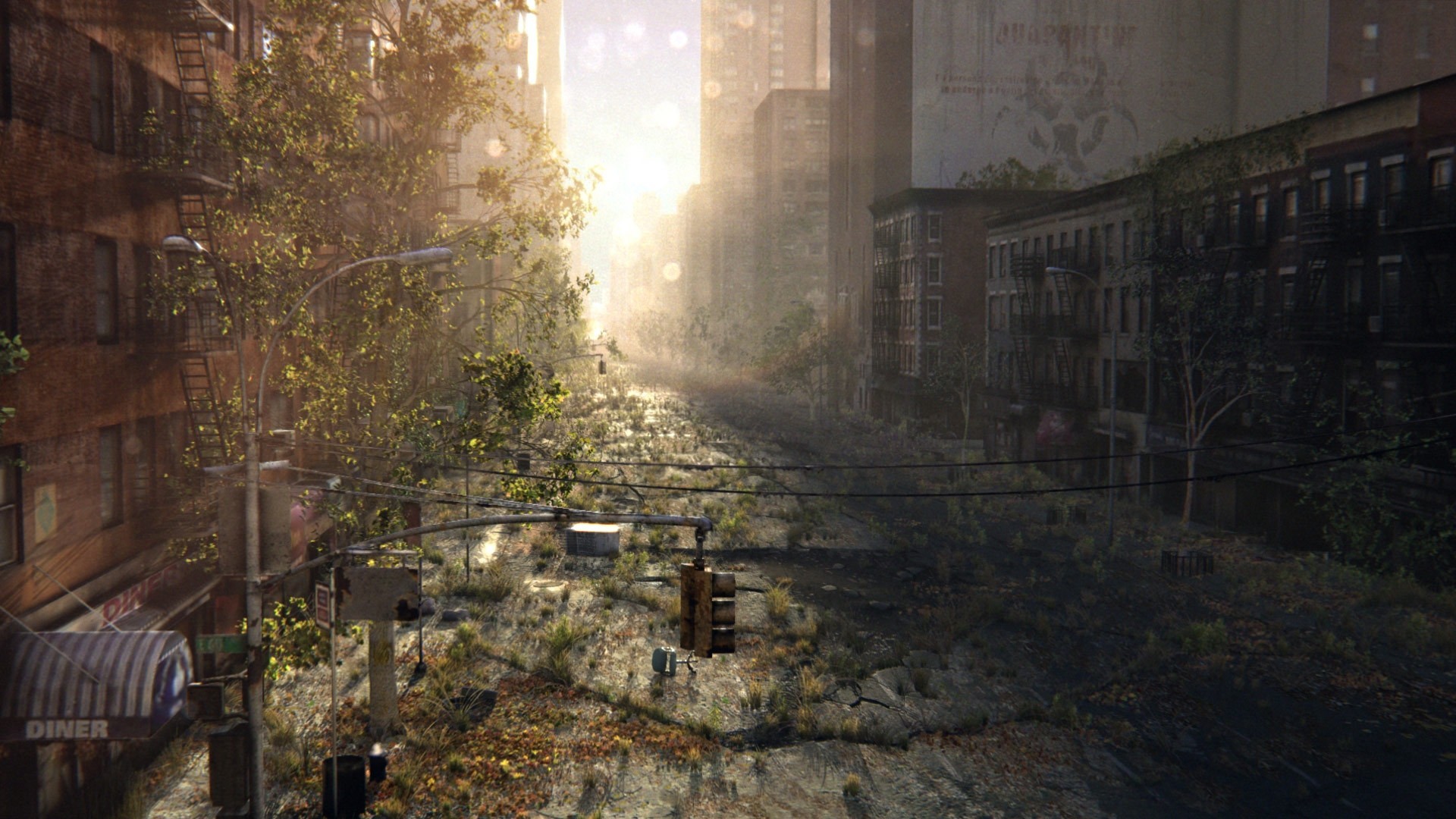 art of the crack street abandonment town sunrise thickets post-apocalypse ruin