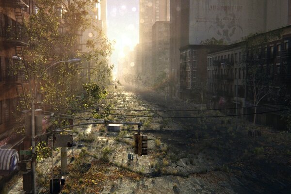 An abandoned city, plants sprout with the sunrise