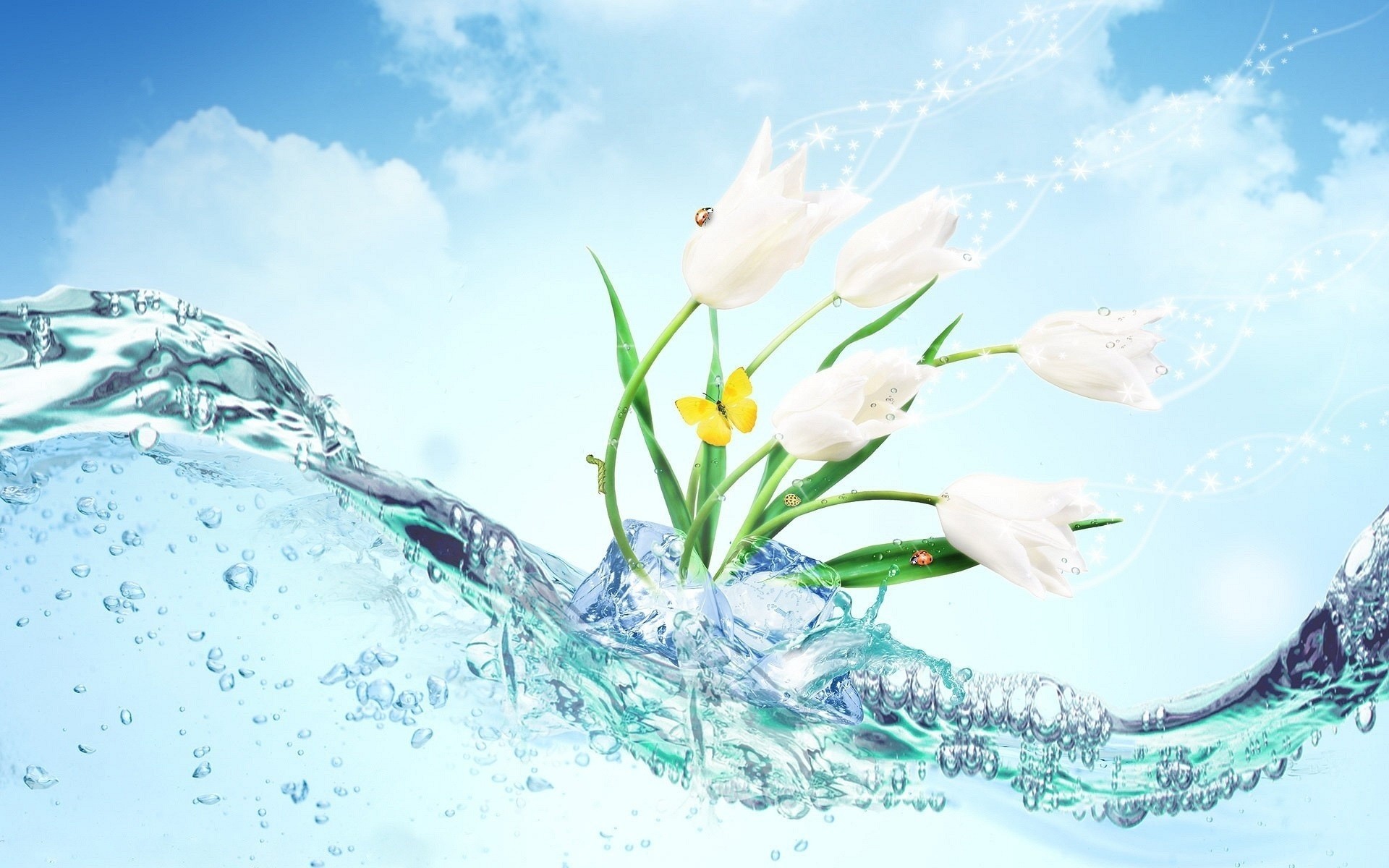 marienkäfer hintergrundbeleuchtung blumen wasser photoshop fantasie