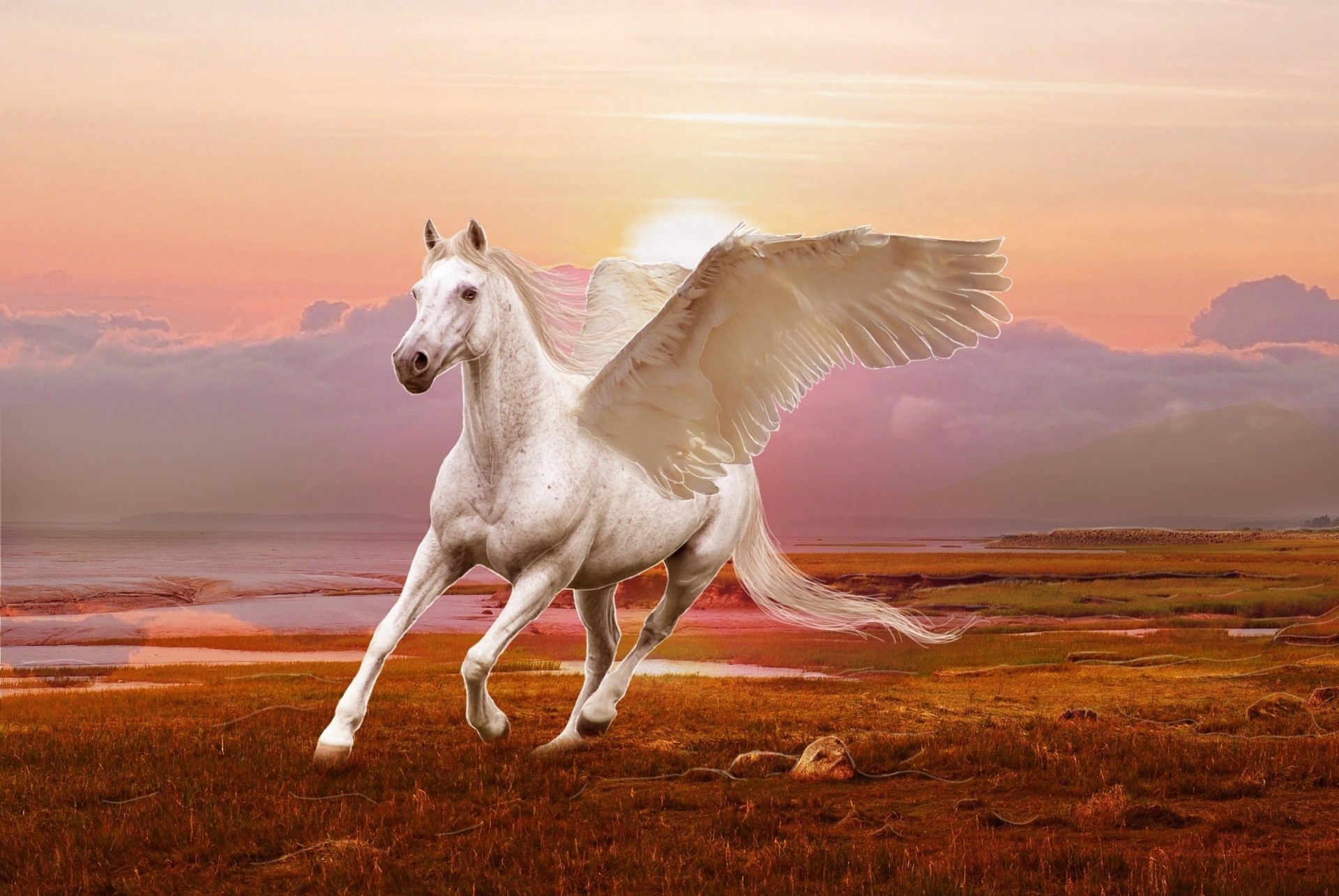 art pegasus 3d horse