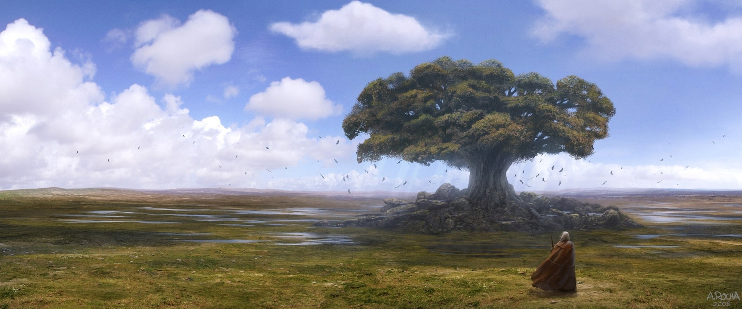 arte árbol hierba horizonte agua nubes campo cuervos viajero