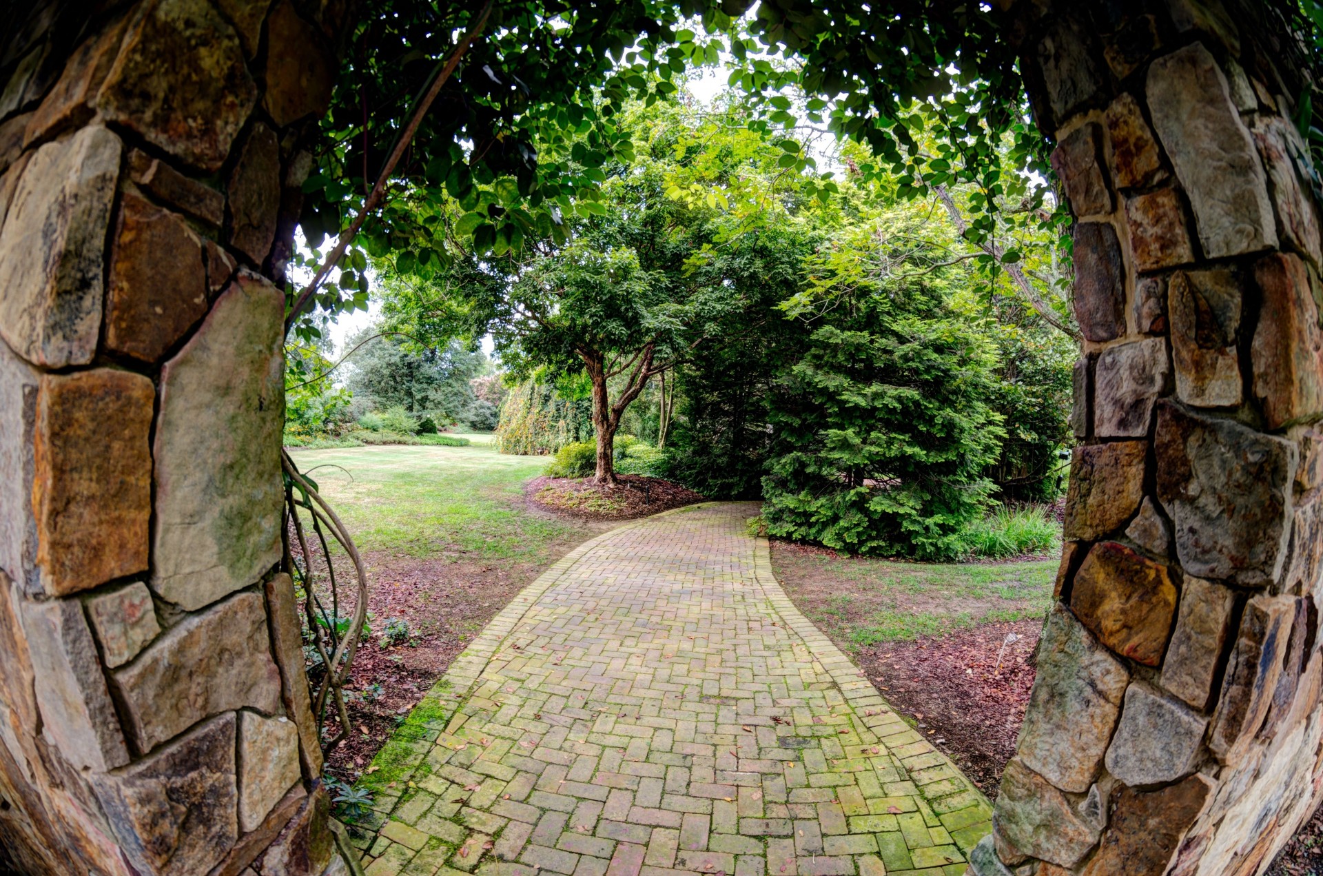 arco árboles camino naturaleza