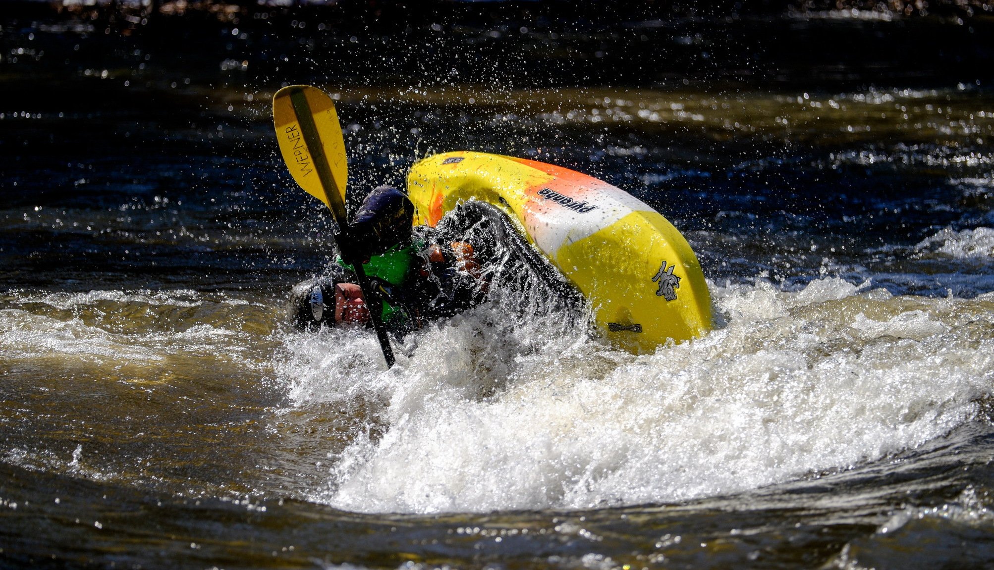 boat feed sport