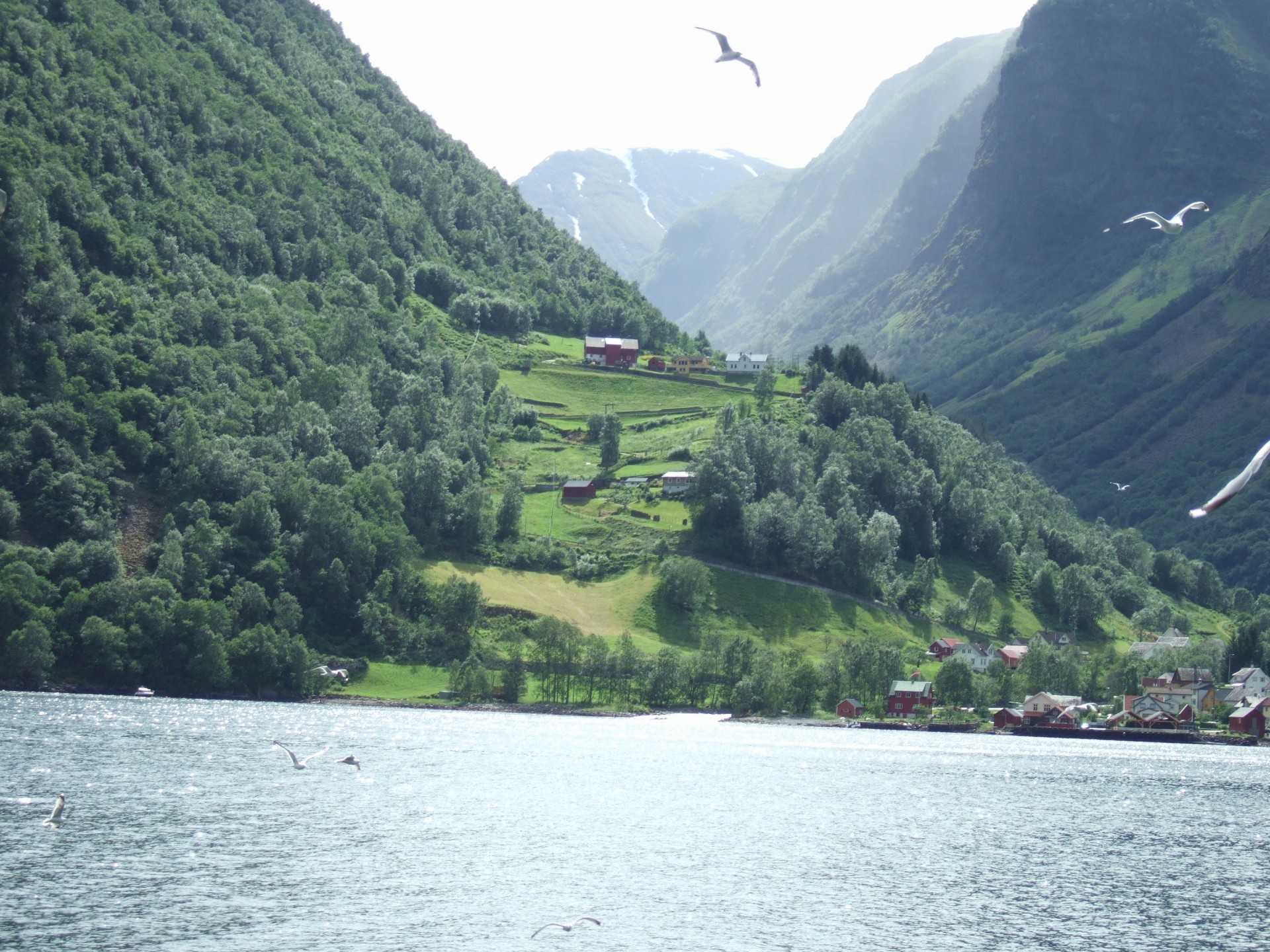 noruega fiordo