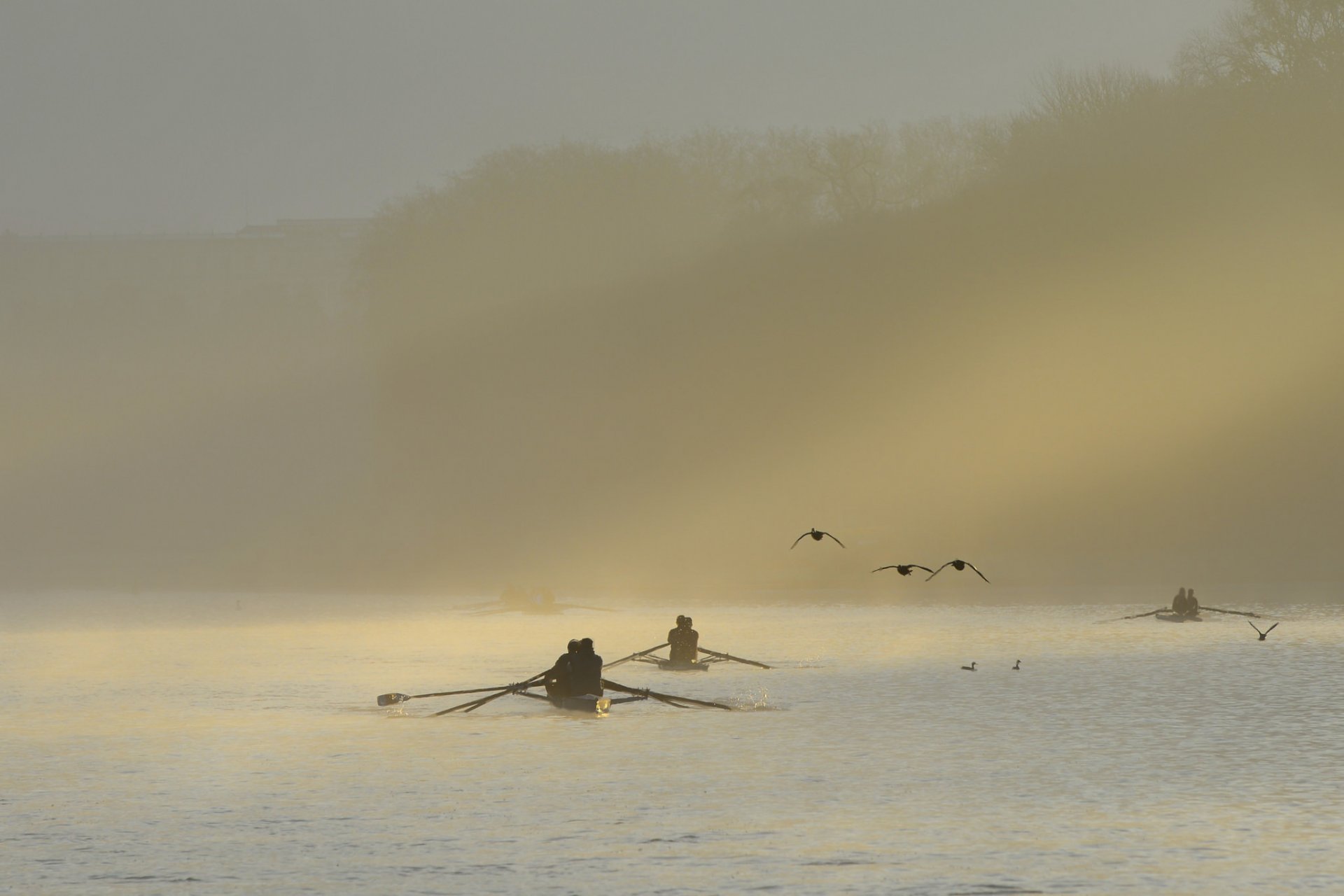 morgen nebel fluss boote