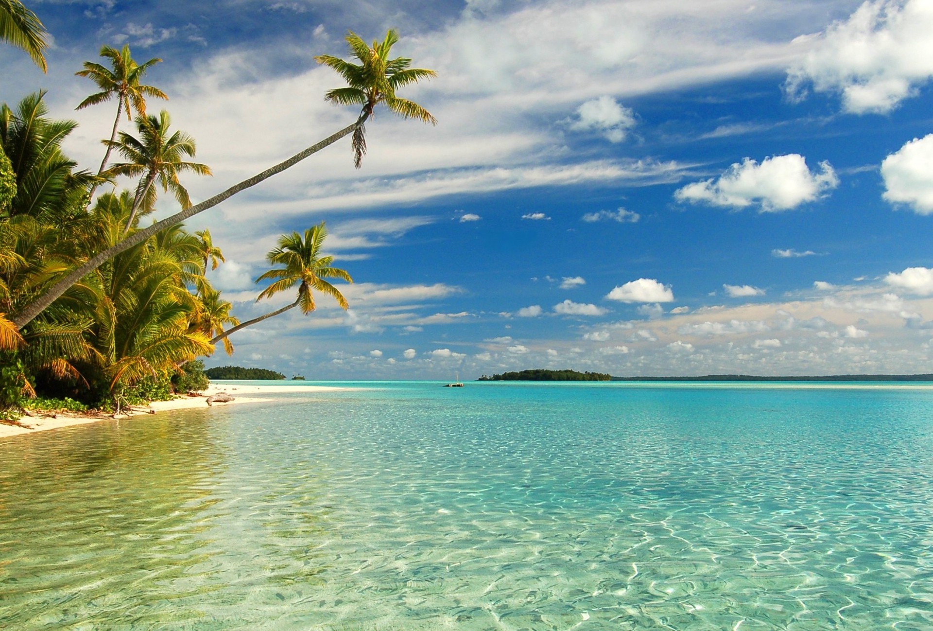 strand palmen wolken himmel meer sand