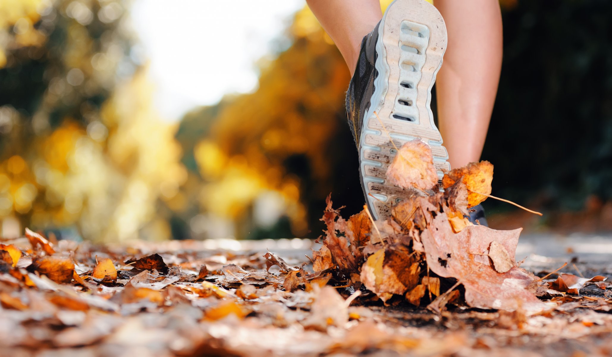 randonnée exercice feuilles chaussures de sport