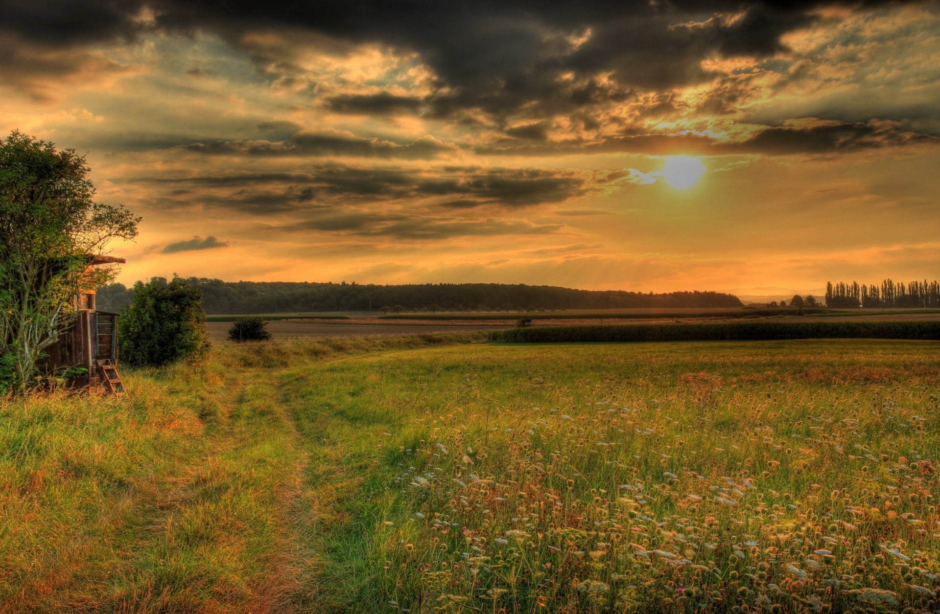 meadows nature grass hesse sky germany hdr