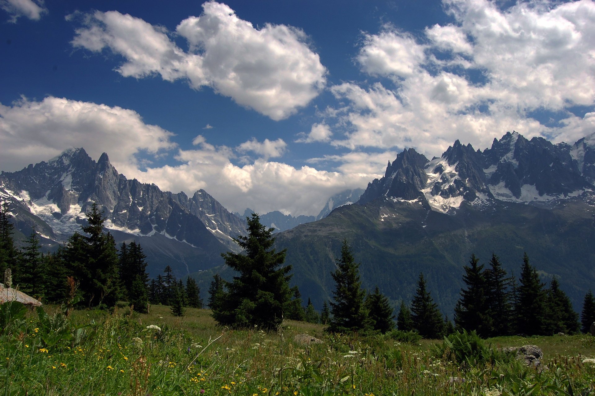 flores alpes cielo bosque montañas prados hierba verano picos