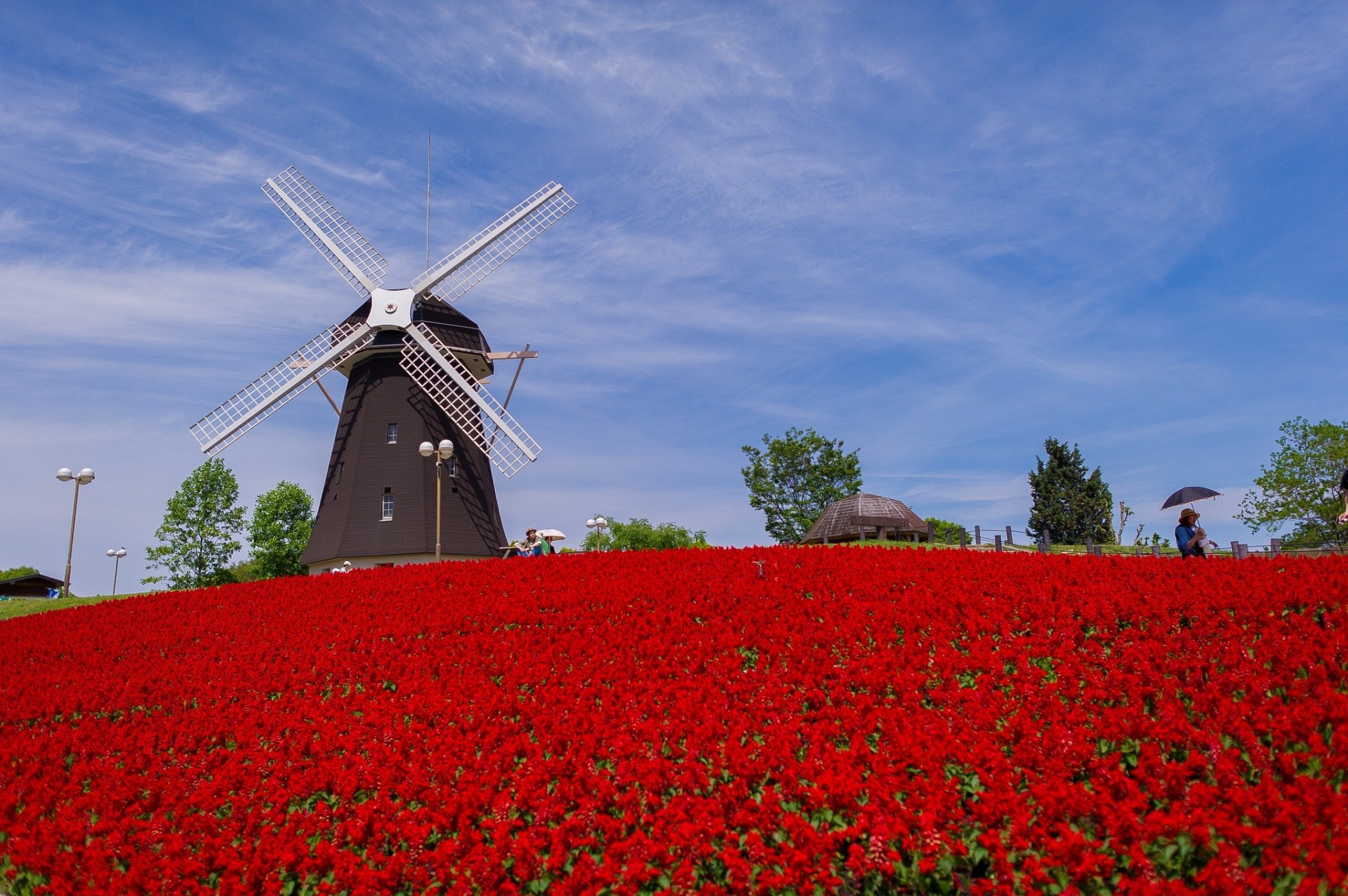 mühle tokio blumen osaka park japan