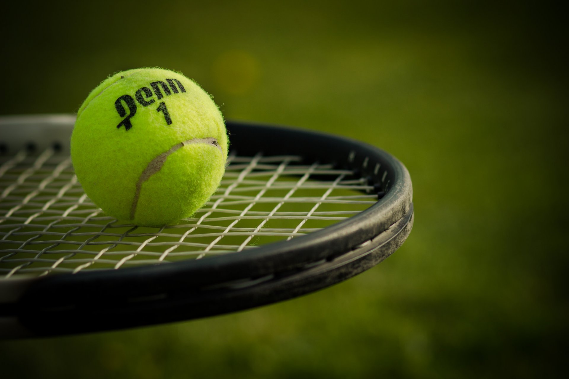 pelota raqueta deportes