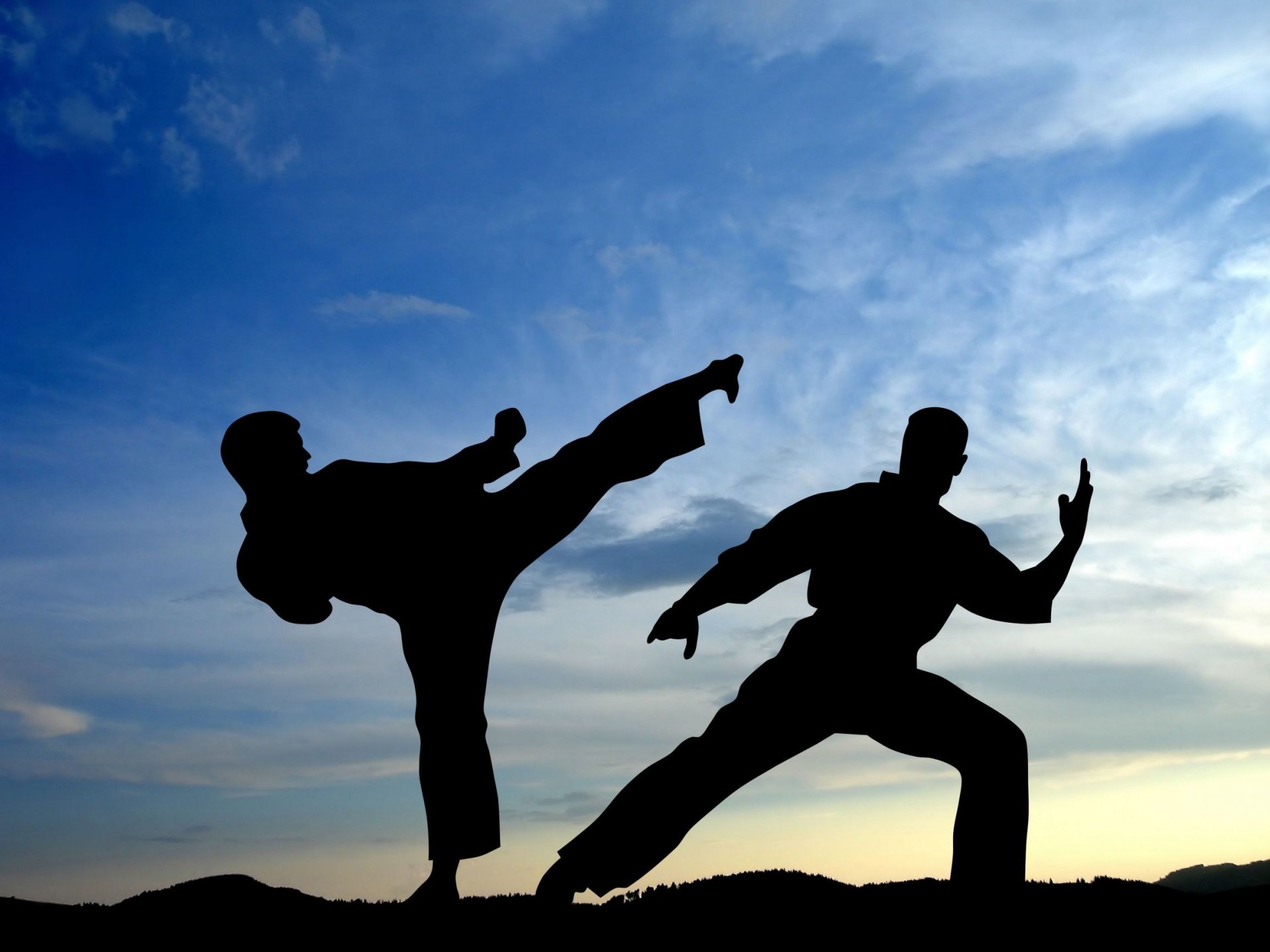 sport karate kampf duell schatten kraft kämpfer schlag kampfkunst hintergrundbilder himmel