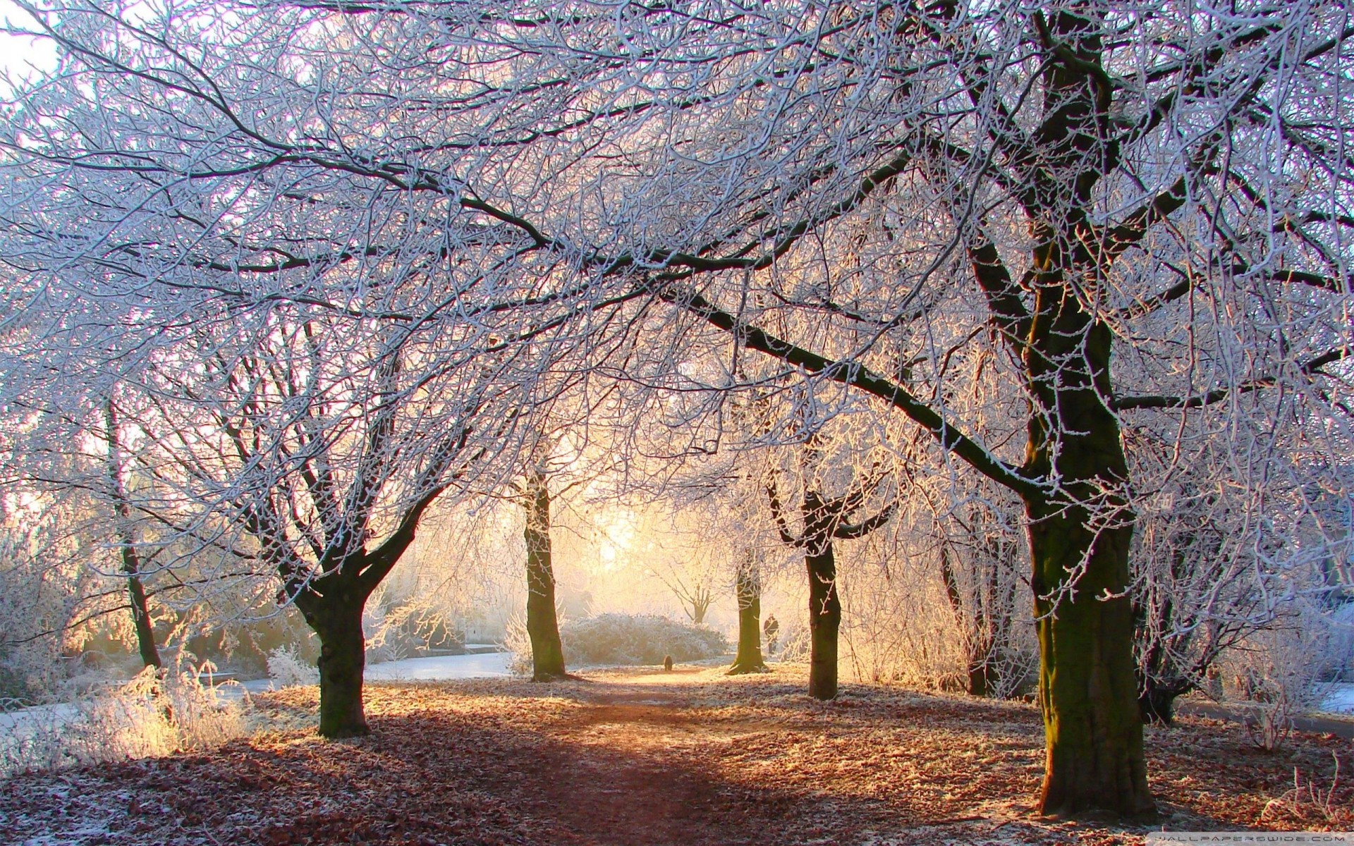 lumière hiver belle