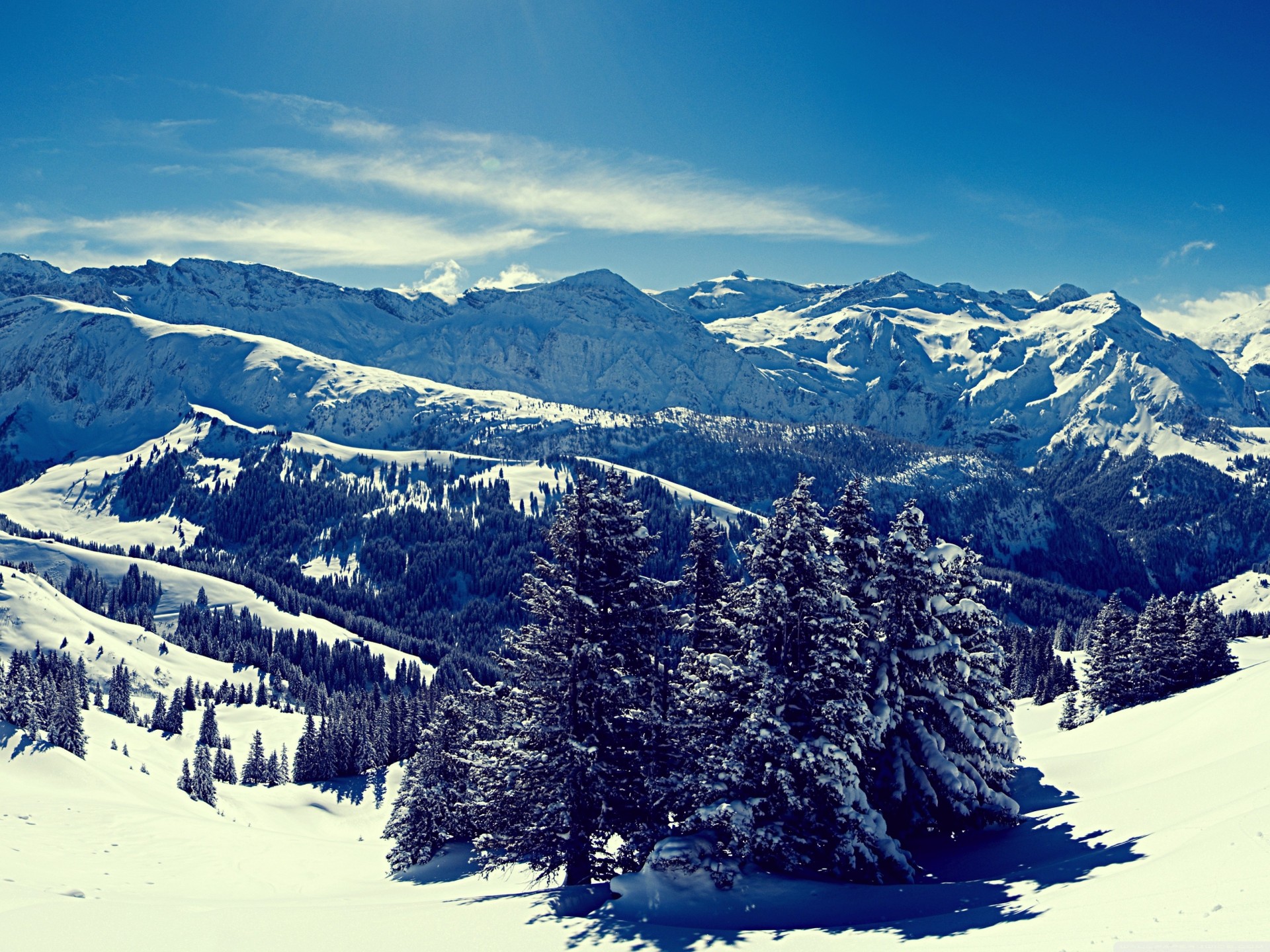 inverno paesaggio montagna