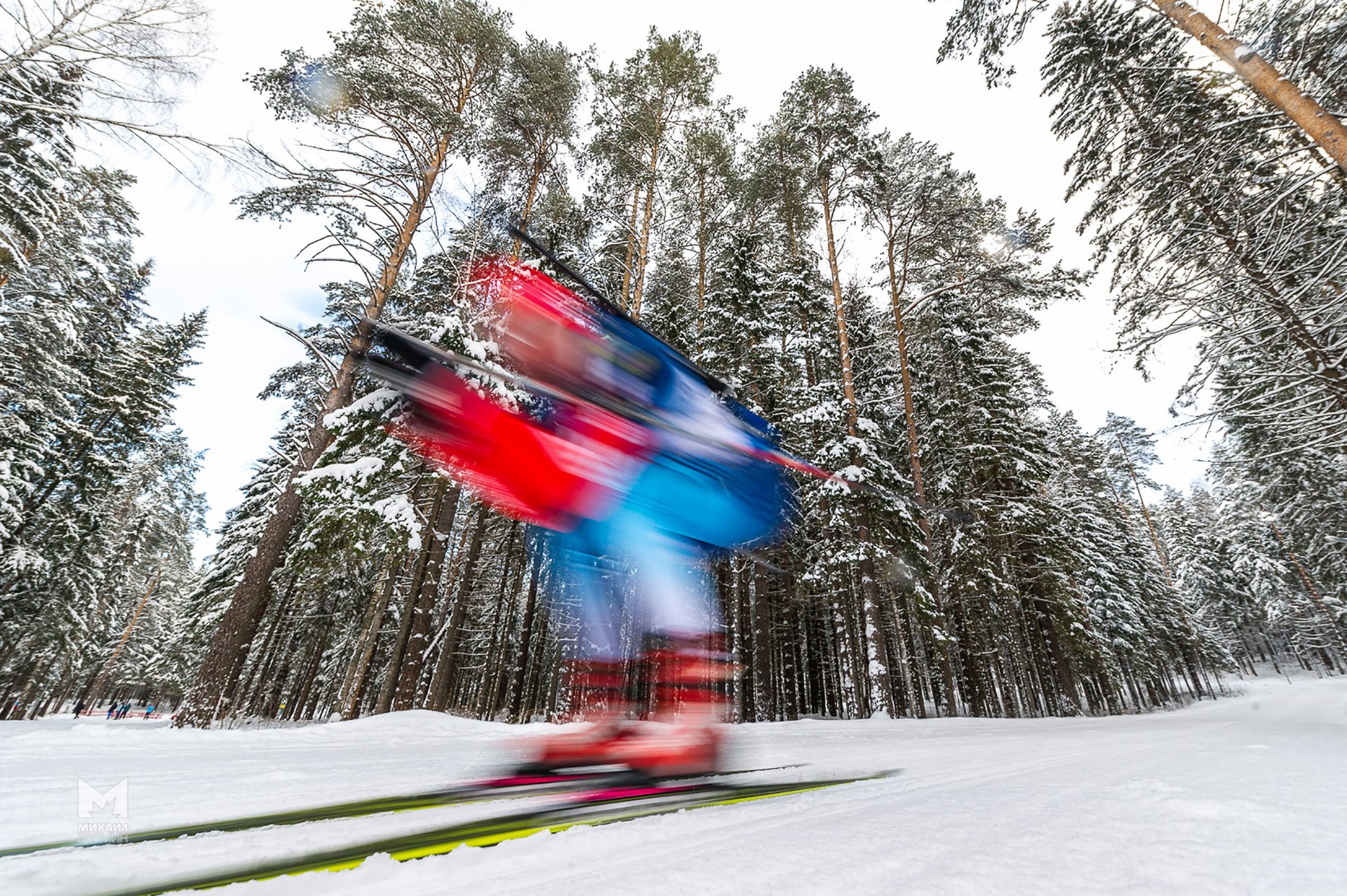 biatlón biatlón velocidad bosque invierno