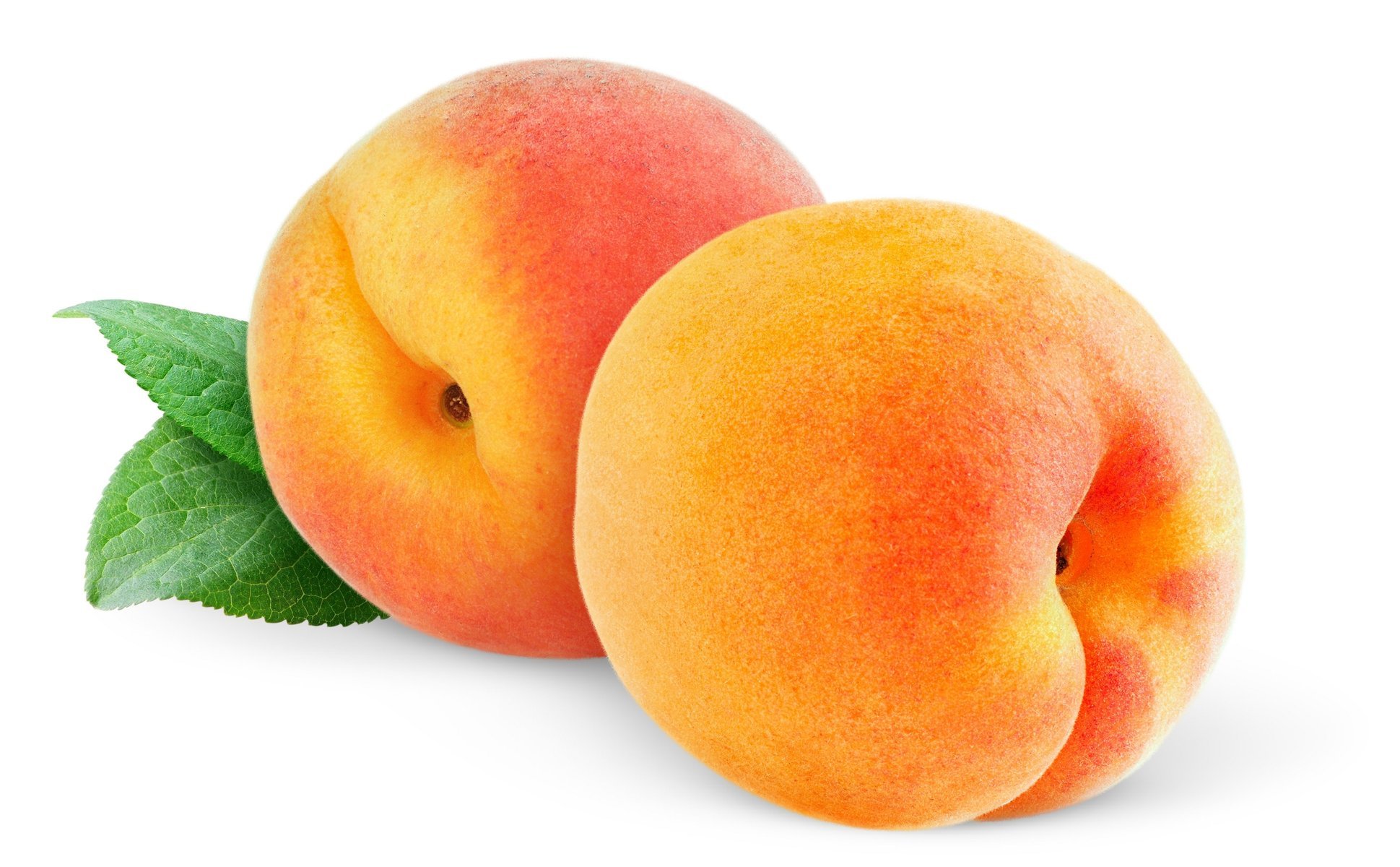 peaches peaches fruit white background fruit