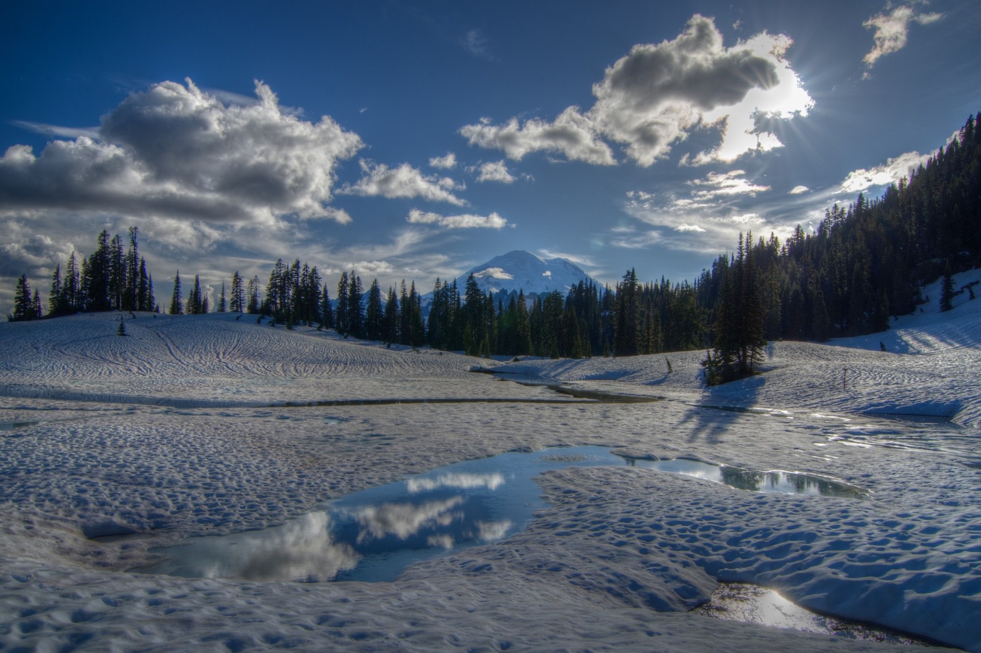 inverno washington foresta neve monte rainier montagna alberi