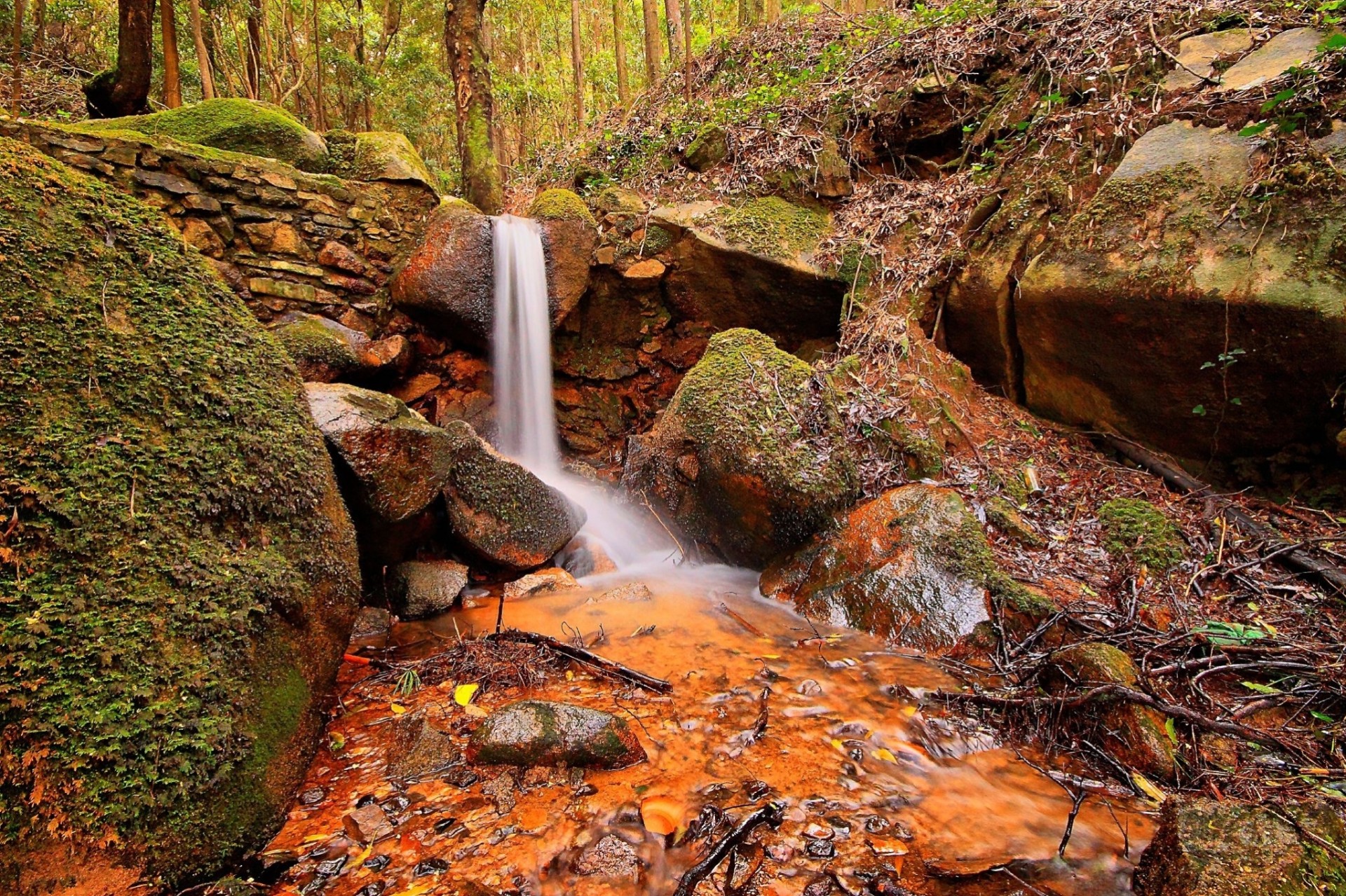 steine wald wasserfall natur