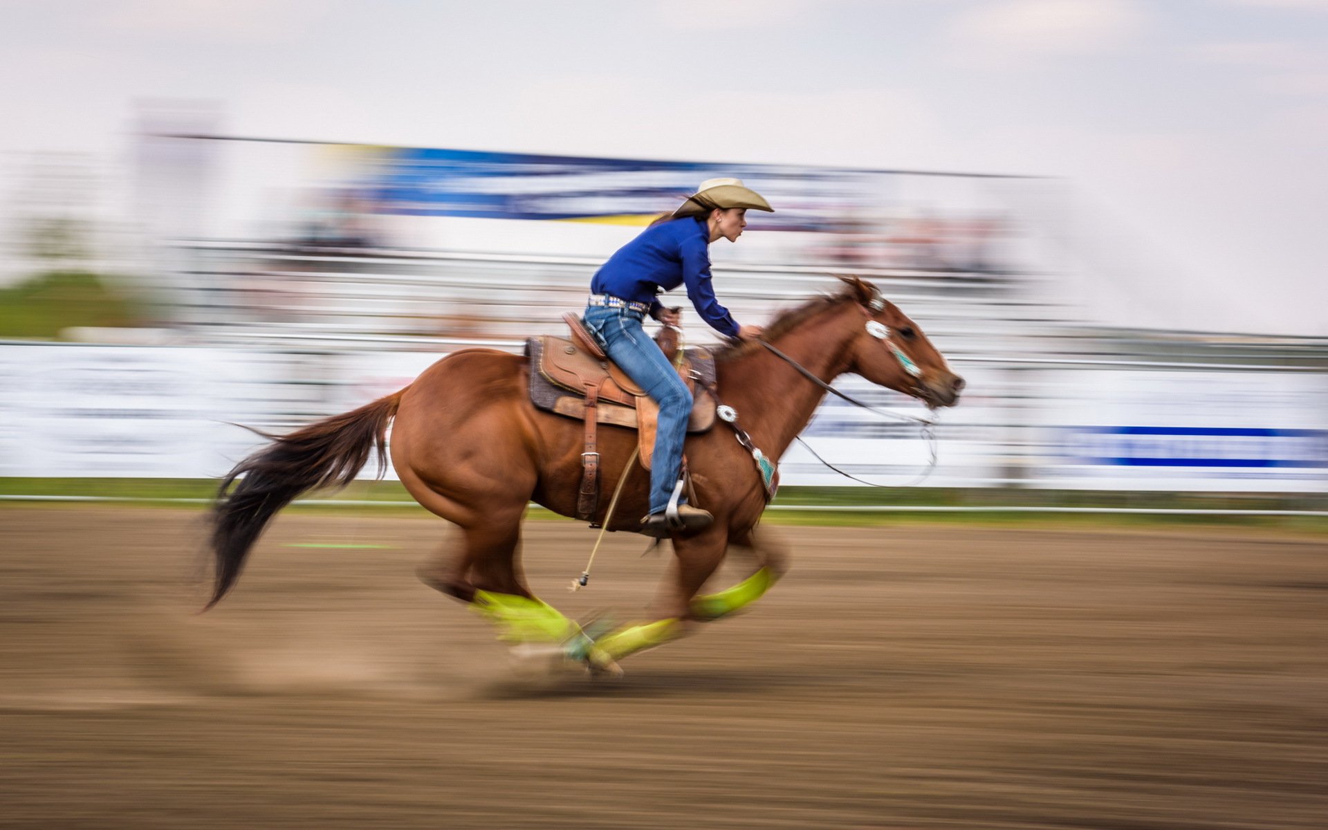 cavallo corsa sport