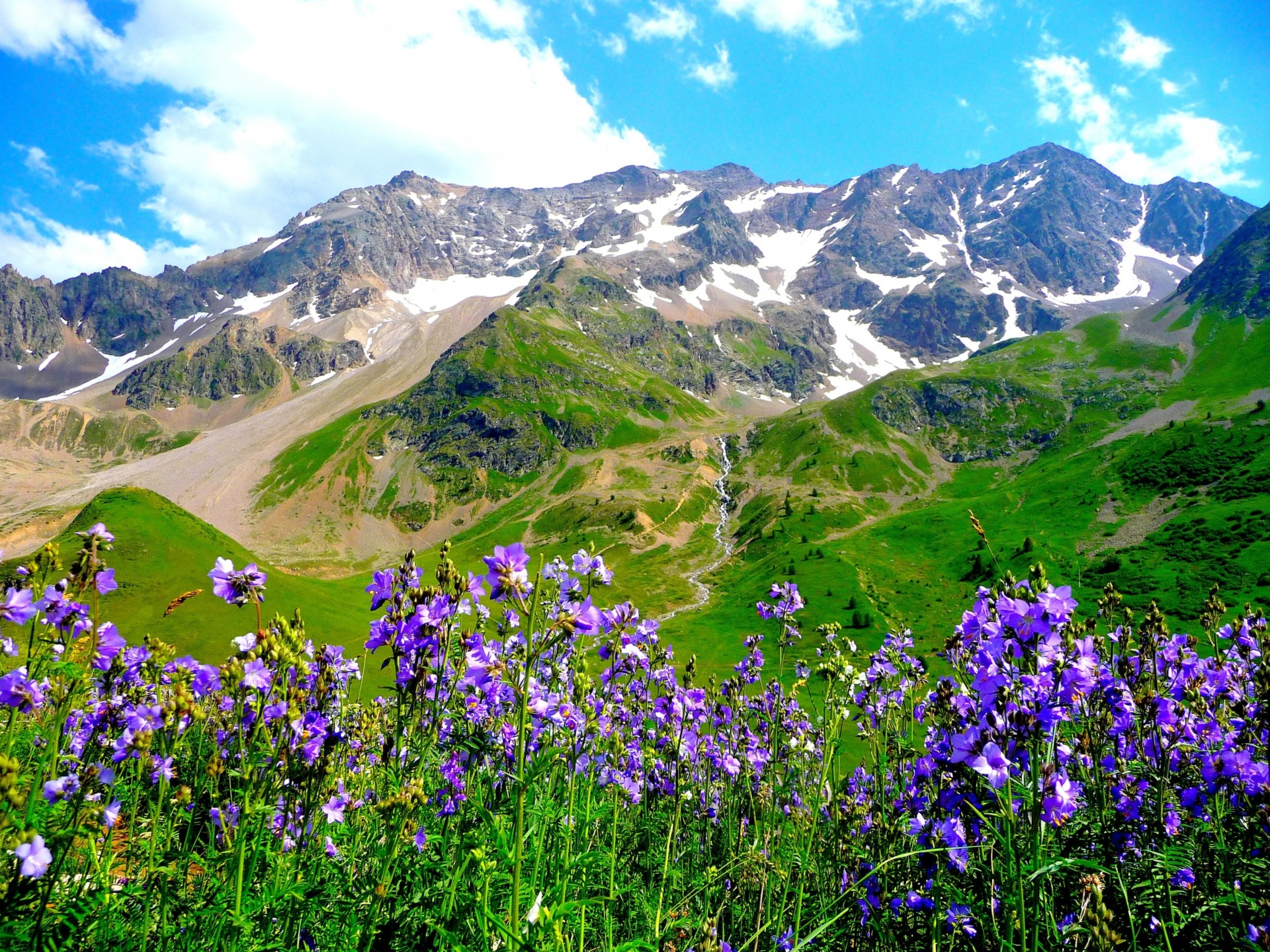 berge landschaft alpen blumen