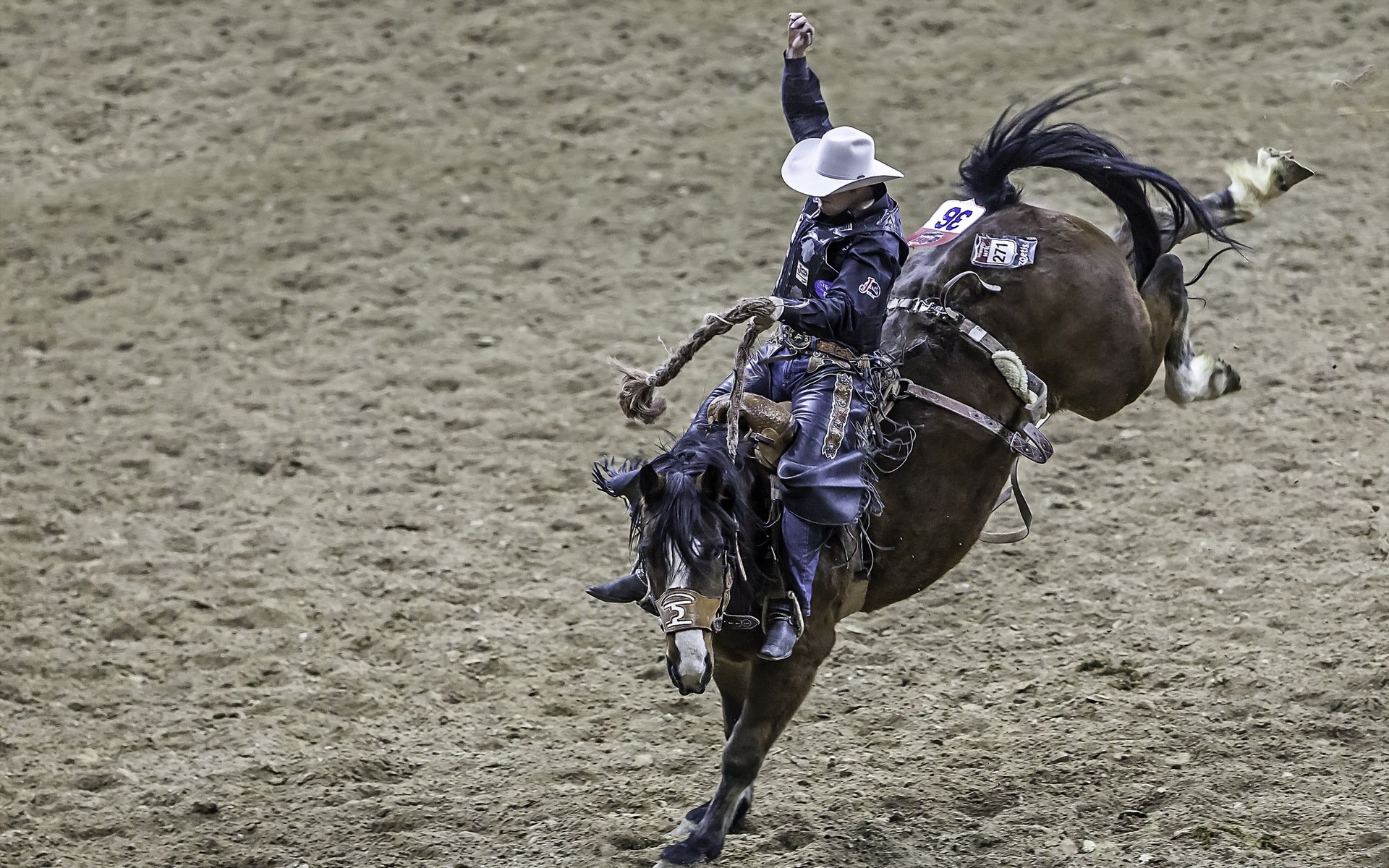 rodeo vaquero deportes