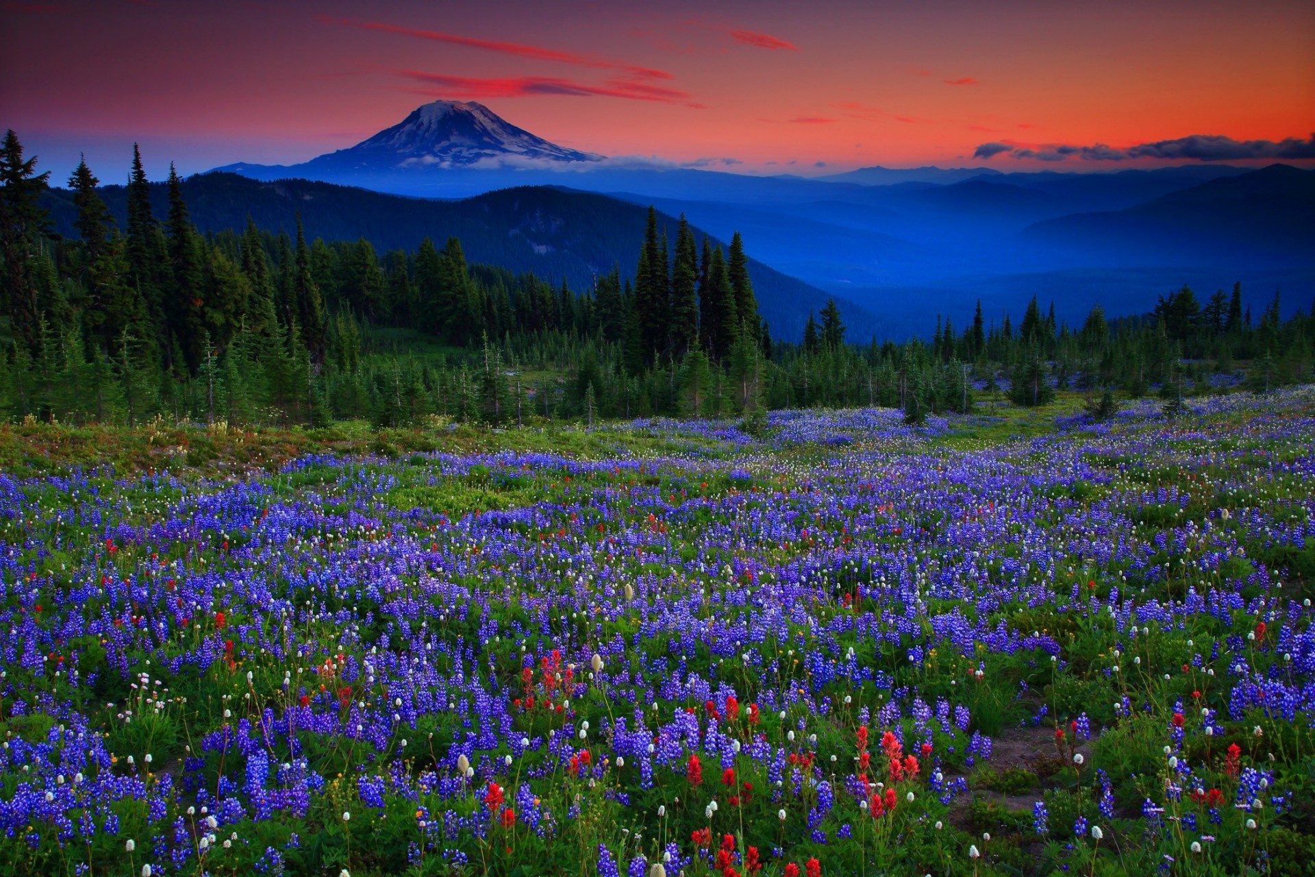 meadows landscape mountain alps sunset