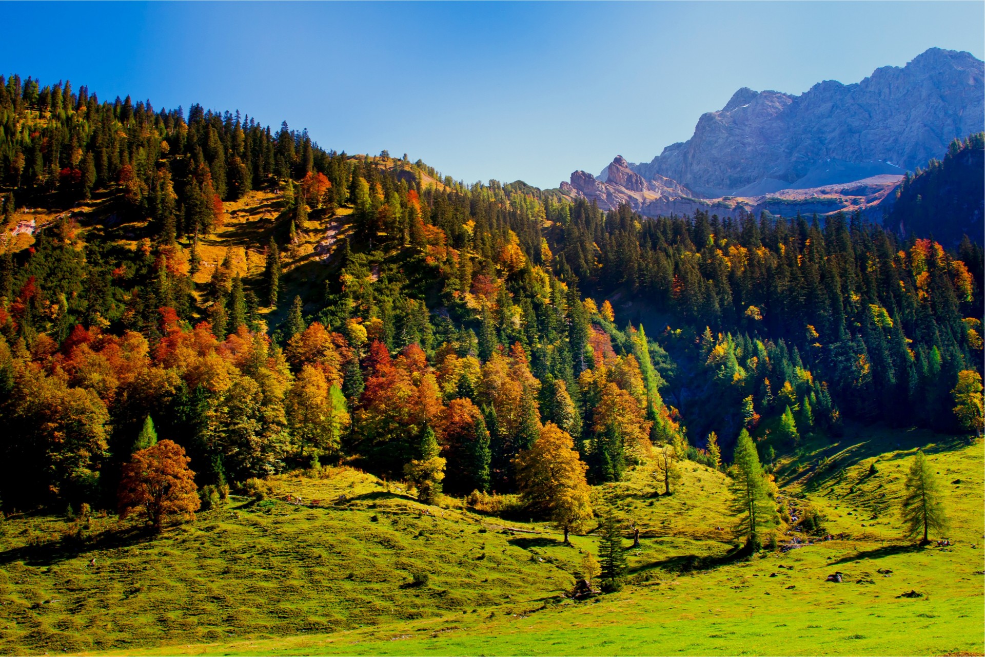 hills tree sky tyrol karwendel mountain austria