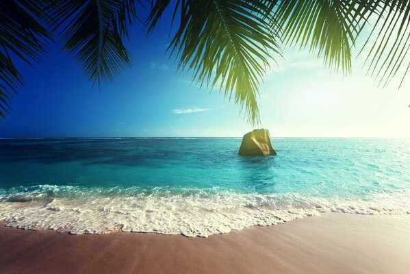 Tropical beach. Ocean in summer