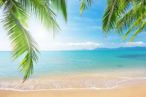 Côte paradisiaque avec vue sur l océan