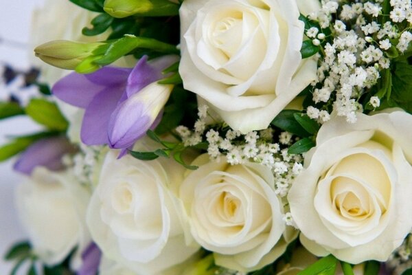 Beautiful bouquet of white roses