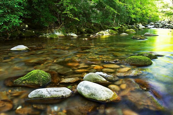 Pierres grises dans les eaux peu profondes de la rivière