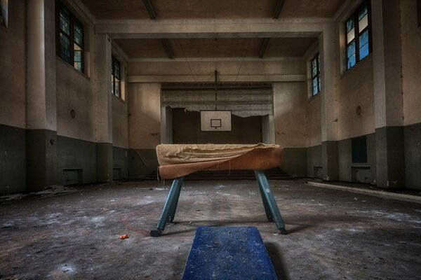 An abandoned gym with a horse