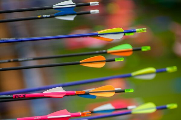 Multicolored plumage of sports arrows