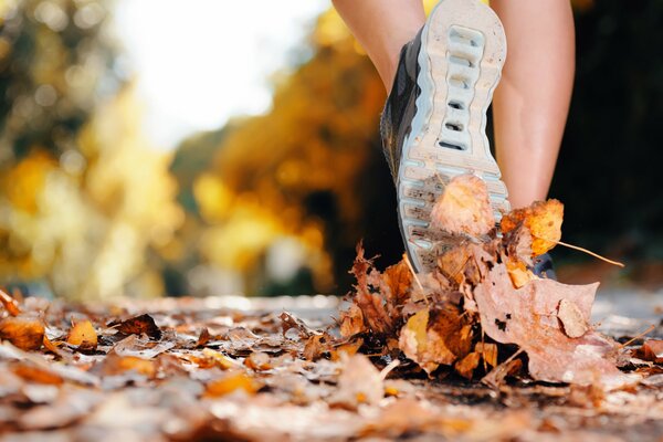 Zapatos deportivos cómodos para el turismo