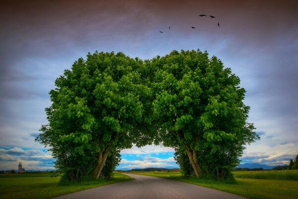 Ein Bogen auf der Straße von Bäumen. Landschaft