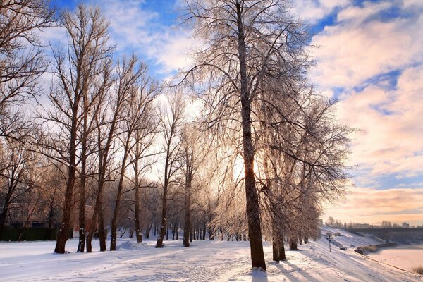 Зимний пейзаж на фоне голубого неба