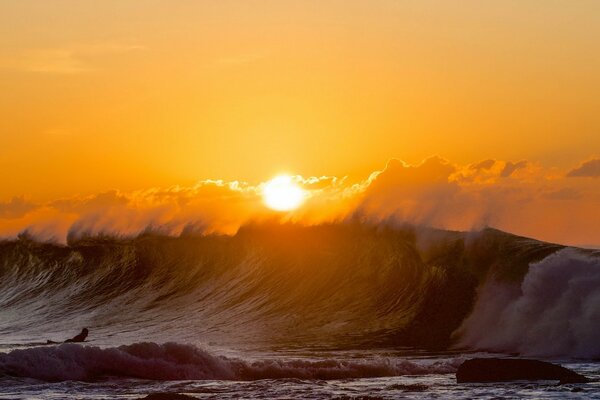 Eine hohe Welle bedeckt die Sonne