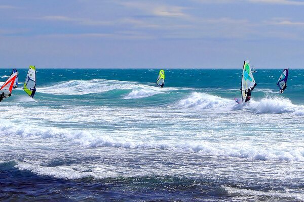 Seven surfers on boards with sails