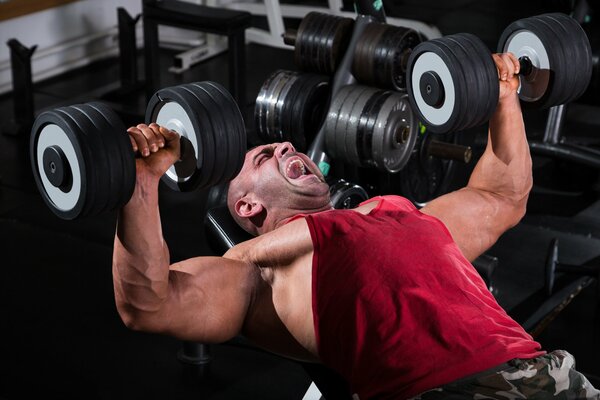 Bodybuilder schüttelt Muskeln mit einer Hantel