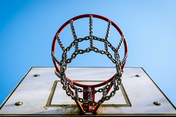 Basketball shield with sports ring