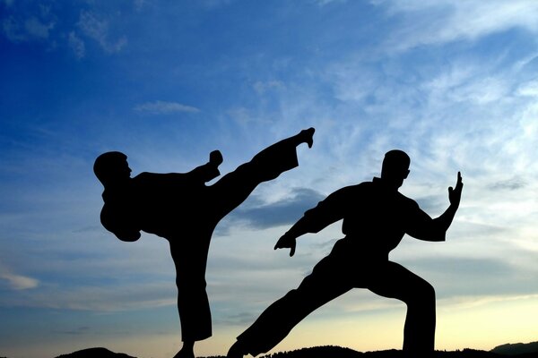 Silueta de luchadores de karate contra el cielo